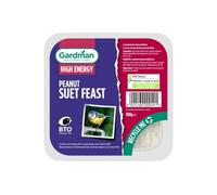 True Gifts 300G Suet Feasts Peanut, High Energy Suet Block With Added Crushed Peanuts