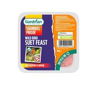 True Gifts 300G Suet Feasts Squirrel Proof Wild Bird, Bird Feed/food, High Energy Suet Feasts, Added Chilli To Deter Pesky Squirrels