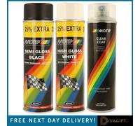 True Gifts Supergift.com 500Ml, Fast Drying (1, Semi Gloss Black)