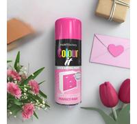 True Gifts Supergift.com Pink Gloss All Purpose 250Ml Quick Drying Spray, Fast Dry And Excellent Coverage For Metal, Wood, Plastic And More