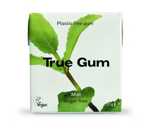 True Gum Mint Chewing Gum 21g