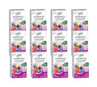 True Lemon Wildberry Lemonade Water Enhancer Drink Mix (12 Pack of 10 Count Boxes), Low Calorie Drink Mix Packets for Water, Powdered Drink Mixes & Flavorings, Individual Drink Packets, Water Flavor