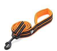 TRUE LOVE Dog Leash Puppy Walking Lead Pet Chain Padded Reflective Night Safe Rope Length 110cm TLL2111(Orange,M)