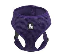 TRUE LOVE Dog Soft Breathable Comfortable Lightweight Mesh Harness, Puppy Walking Harness Pet Vest TLH1911 (L, Purple)