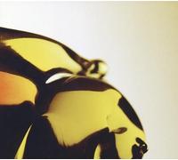 True Loves by Hooray For Earth