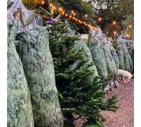 True Products 65Cm Oxo-Biodegradable Christmas Tree Lz Netting - 400M Sleeve For Trees 10Ft To 12Ft