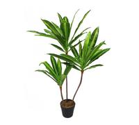 True Products Artificial Dracaena Fragrans Dragon Tree 100Cm