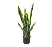 True Products Artificial Dracaena Trifasciata Snake Plant 65cm