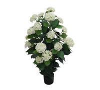 True Products Artificial Hydrangea Bush White Uv Protected - 120Cm