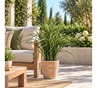 True Products Artificial Ornamental Grass Plant Uv Resistant 80Cm