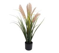 True Products Artificial Pampas Grass Plant Uv Protected - 90Cm
