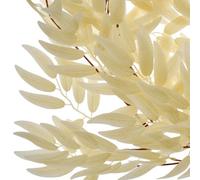 True Products Artificial Salix Leaf Champagne Vine Hanging Garland - 170Cm