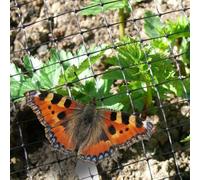 True Products Heavy Duty Fruit & Cage / Mole Protection Mesh - 1M X 5M