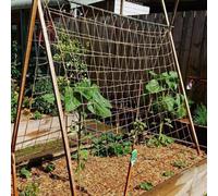 True Products Jute Heavy Duty Pea & Bean Netting For Climbing Plants 100% Natural & Biodegradable 100mm - 2M X 25M