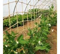 True Products Jute Heavy Duty Pea & Bean Netting For Climbing Plants 100% Natural & Biodegradable 50mm - 1M X 5M