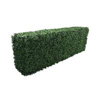 True Products Premium Freestanding Artificial Boxwood Hedge on a Metal Frame Indoor or Outdoor UV Stable 158 x 56 x 33cm - Short