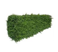 True Products Premium Freestanding Artificial Fern Hedge - 56cm x 158cm