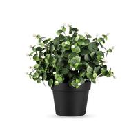 True Products Small Potted Eucalyptus Artificial Plant 22Cm