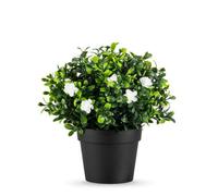 True Products Small Potted Jasmine Artificial Plant 22Cm