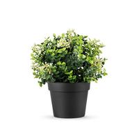 True Products Small Potted Mixed Eucalyptus Artificial Plant 22Cm