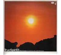 True Spirits 2 Sampler [VINYL]