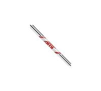 True Temper AMT Red Taper PW Iron Shaft R Option: PW, Flex: Regular