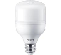 TRUEFORCE LED LAMP "METAL HALOGEN" HB 20/40W 929002405802