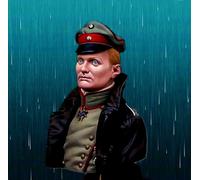 TRUEGRIS 1/10 World War I German pilot bust resin model kit unpainted and unassembled //J7D5xT1