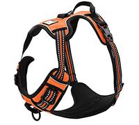 TrueLove Dog Harness TLH5651 No-pull Reflective Stitching Ensure Night Visibility, Outdoor Adventure Big Dog Harness Perfect Match Puppy Vest (Orange,M)