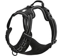 Truelove Dog Harness TLH5651 No-pull Reflective Stitching Ensure Night Visibility, Outdoor Adventure Big Dog Harness Perfect Match Puppy Vest (Black,S)