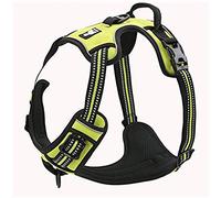 TrueLove Dog Harness TLH5651 No-pull Reflective Stitching Ensure Night Visibility, Outdoor Adventure Big Dog Harness Perfect Match Puppy Vest (Neon Yellow,M)