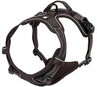 TrueLove Dog Harness TLH5651 No-pull Reflective Stitching Ensure Night Visibility, Outdoor Adventure Big Dog Harness Perfect Match Puppy Vest Now Available (Brown,XS)