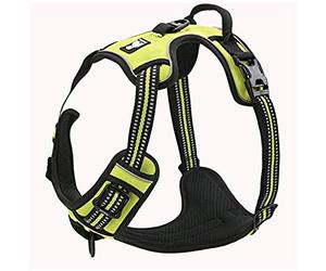 TrueLove Dog Harness TLH5651 No-pull Reflective Stitching Ensure Night Visibility, Outdoor Adventure Big Dog Harness Perfect Match Puppy Vest (Neon Yellow,L)