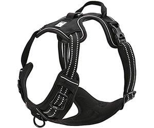 TrueLove Dog Harness TLH5651 No-pull Reflective Stitching Ensure Night Visibility, Outdoor Adventure Big Dog Harness Perfect Match Puppy Vest (Black,M)