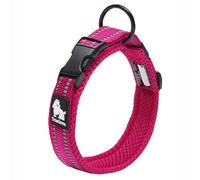 Truelove Dog Training Collar TLC5011 Reflective Premium Buckle Nylon Webbing Pet Dog Collars,High Grade Nylon Webbing No Choke Basic Collars