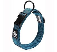 Truelove Dog Training Collar TLC5011 Reflective Premium Buckle Nylon Webbing Pet Dog Collars,High Grade Nylon Webbing No Choke Basic Collars Now Available (M, Blue)