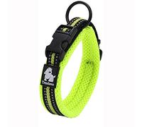 Truelove Dog Training Collar TLC5011 Reflective Premium Buckle Nylon Webbing Pet Dog Collars,High Grade Nylon Webbing No Choke Basic Collars Now Available (XS, Neon Yellow)