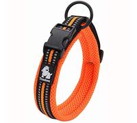Truelove Dog Training Collar TLC5011 Reflective Premium Buckle Nylon Webbing Pet Dog Collars,High Grade Nylon Webbing No Choke Basic Collars Now Available (M, Orange)