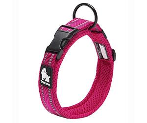 Truelove Dog Training Collar TLC5011 Reflective Premium Buckle Nylon Webbing Pet Dog Collars,High Grade Nylon Webbing No Choke Basic Collars Now Available (2XL, Fushcia)