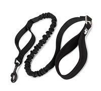 Truelove Dog Trainning Lead Elastic Nylon Leash, Soft and Comfortable Handle with Extra Traffic Control Handle and Durable Hook for Running and Walking(Black,L)