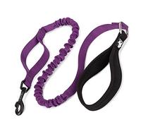 Truelove Dog Trainning Lead Elastic Nylon Leash, Soft and Comfortable Handle with Extra Traffic Control Handle and Durable Hook for Running and Walking(Purple,M)