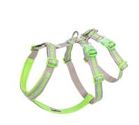 Truelove Double H Escape Proof Nylon Dog Harness Reflective Adjustable No Pull Pet Vest Harness for Small Medium Large Dogs TLH6571(Gray/Grass Green-S)