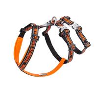 Truelove Double H Escape Proof Nylon Dog Harness Reflective Adjustable No Pull Pet Vest Harness for Small Medium Large Dogs TLH6571(Black/Orange-S)