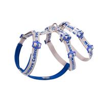 Truelove Double H Escape Proof Nylon Dog Harness Reflective Adjustable No Pull Pet Vest Harness for Small Medium Large Dogs TLH6571(Gray/Royal Blue-L)