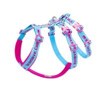Truelove Double H Escape Proof Nylon Dog Harness Reflective Adjustable No Pull Pet Vest Harness for Small Medium Large Dogs TLH6571(Sky Blue/Fuchsia-XS)