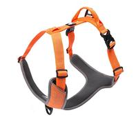 Truelove No-Pull Highly Reflective Breathable Dog Harness, Orange, S | Full Reflective Straps & Main Body, 2 Lead Rings, Durable for Medium & Large Dogs, Adjustable, Outdoor Walking, TLH6071