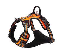 Truelove No-Pull No Overhead Reflective Dog Harness,Orange, XS