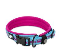 TrueLove Nylon Collar Neoprene Blue Pink Adjustable For Dogs Reflective