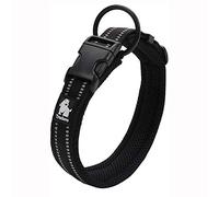 Truelove Dog Training Collar TLC5011 Reflective Premium Buckle Nylon Webbing Pet Dog Collars,High Grade Nylon Webbing No Choke Basic Collars Now Available (2XL, Black)