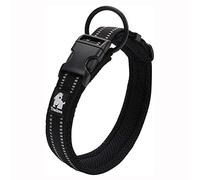 Truelove Dog Training Collar TLC5011 Reflective Premium Buckle Nylon Webbing Pet Dog Collars,High Grade Nylon Webbing No Choke Basic Collars Now Available (XL, Black)